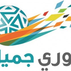 الشمري يحصل على جائزة التميز بالعمل الشبابي الخليجي