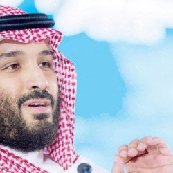 الملا: ” أرامكو السعودية ” ستزود المصافي المصرية بالنفط الخام لمدة 6 أشهر