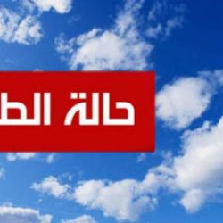 محافظ حفرالباطن يكرم مدير الشئون الصحية ناصر الصافي