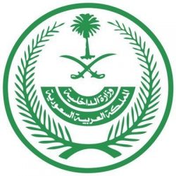 الهيئة العامة للإحصاء : انخفاض معدل بطالة إجمالي السعوديين إلى (12.3%) وارتفاع المشاركة الاقتصادية للسعوديات بـ (23.2%)
