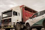 “التجارة” تضبط متورطين خبأوا 6 شاحنات محملة بأكثر من 100 طن بصل وتعيد تصريف الكميات في أسواق الرياض